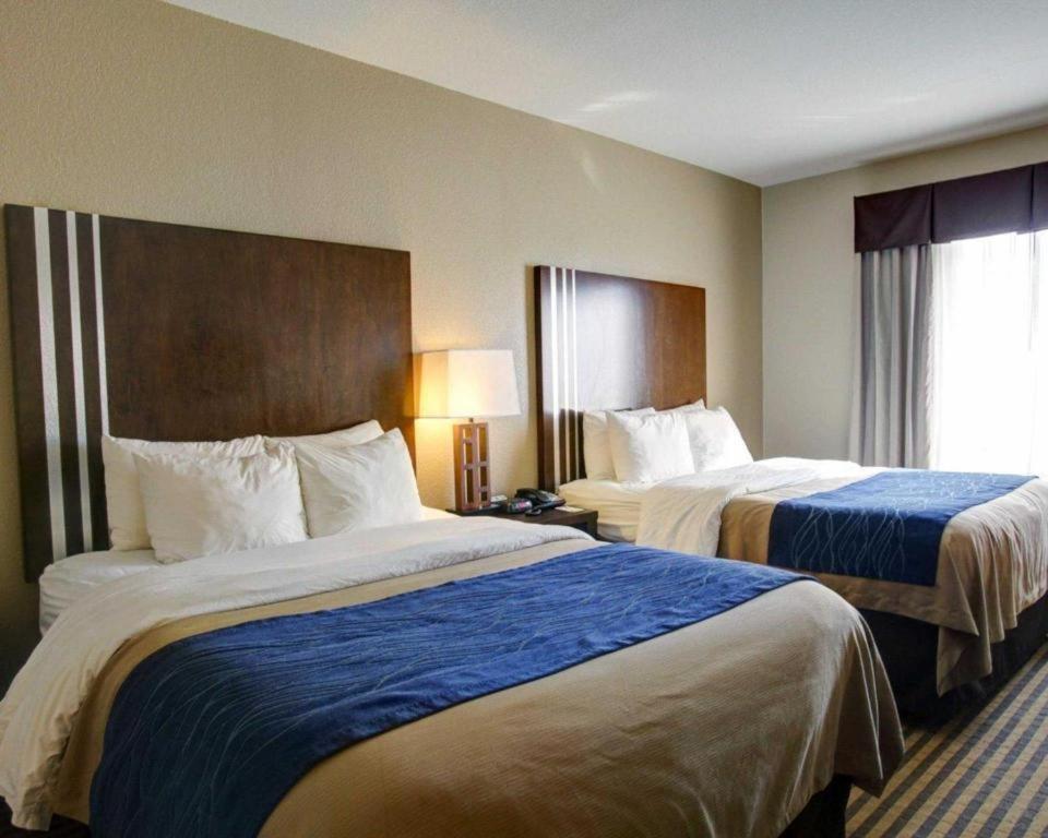 Comfort Inn & Suites Navasota Екстер'єр фото
