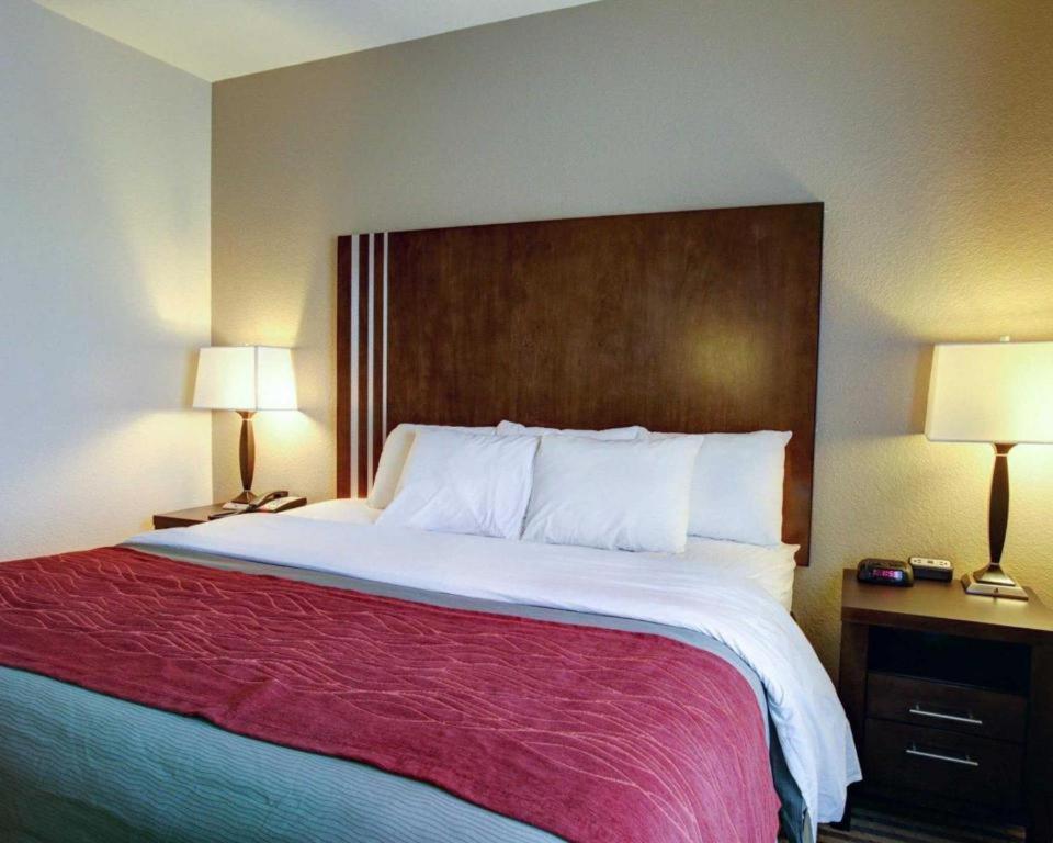 Comfort Inn & Suites Navasota Екстер'єр фото