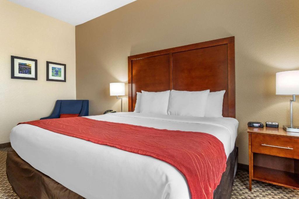 Comfort Inn & Suites Navasota Екстер'єр фото