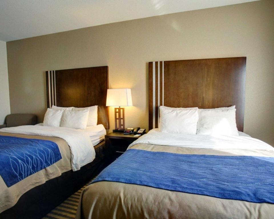 Comfort Inn & Suites Navasota Екстер'єр фото