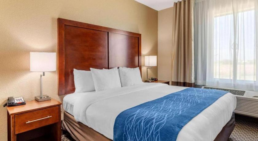 Comfort Inn & Suites Navasota Екстер'єр фото