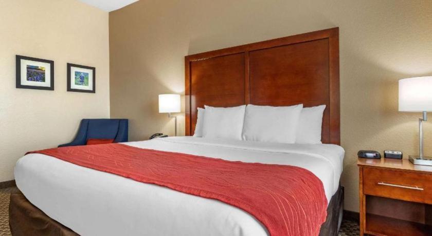Comfort Inn & Suites Navasota Екстер'єр фото